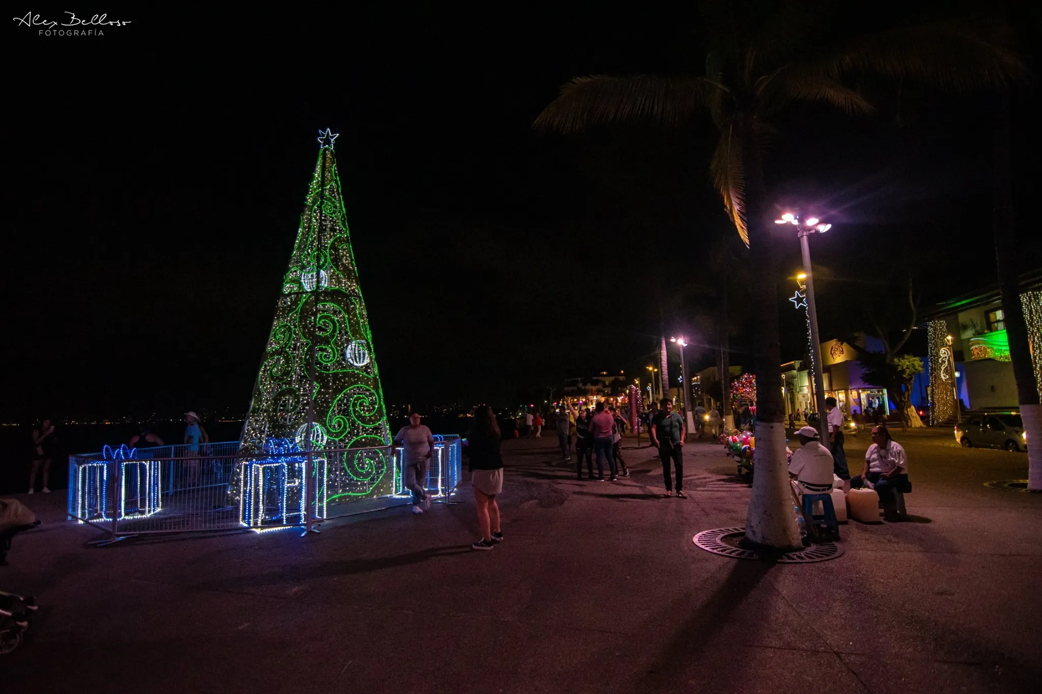 Puerto Vallarta Christmas Gallery 2