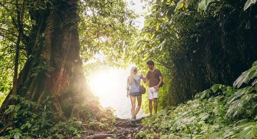 The 4 Best Hiking Trails in Puerto Vallarta