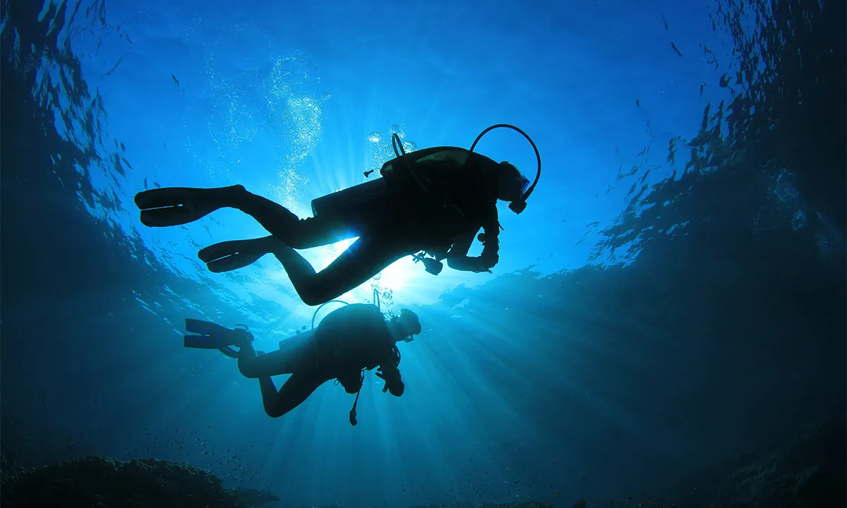 scuba diving in puerto vallarta